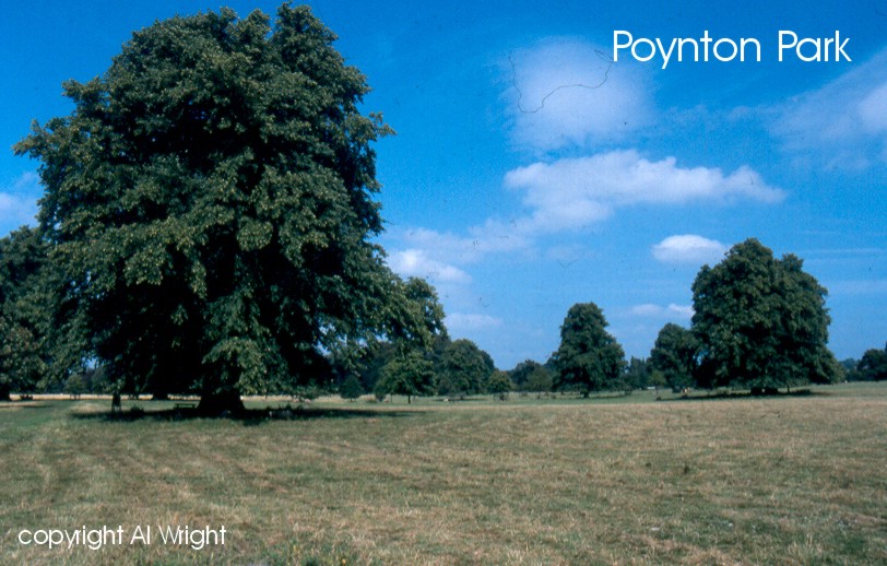 Poynton Park